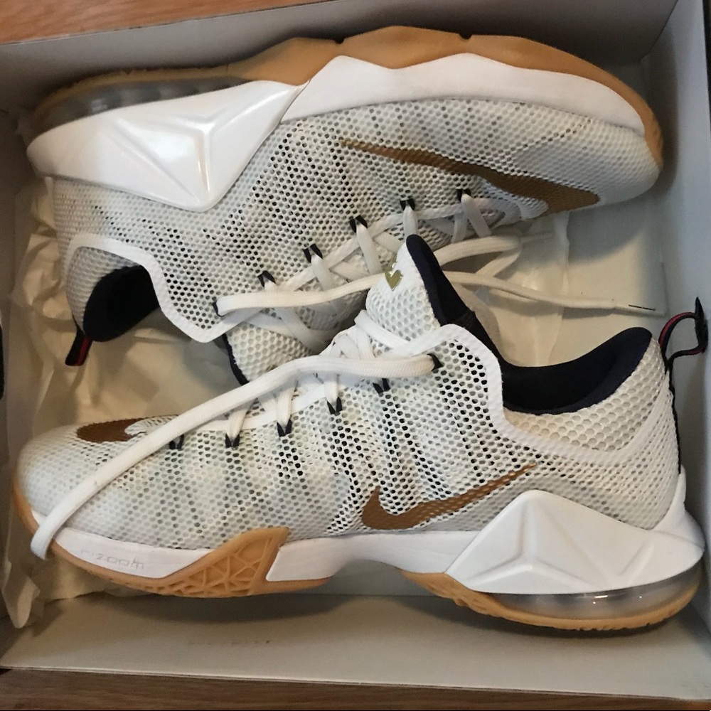 Lebron XII Low